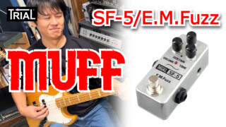 【YouTube】『SF-5/E.M.Fuzz』MUFFビルダー解説